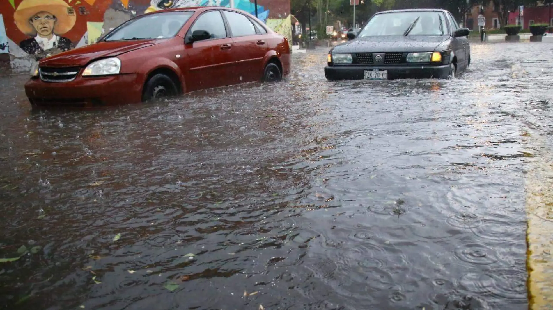 Lluvia Analco